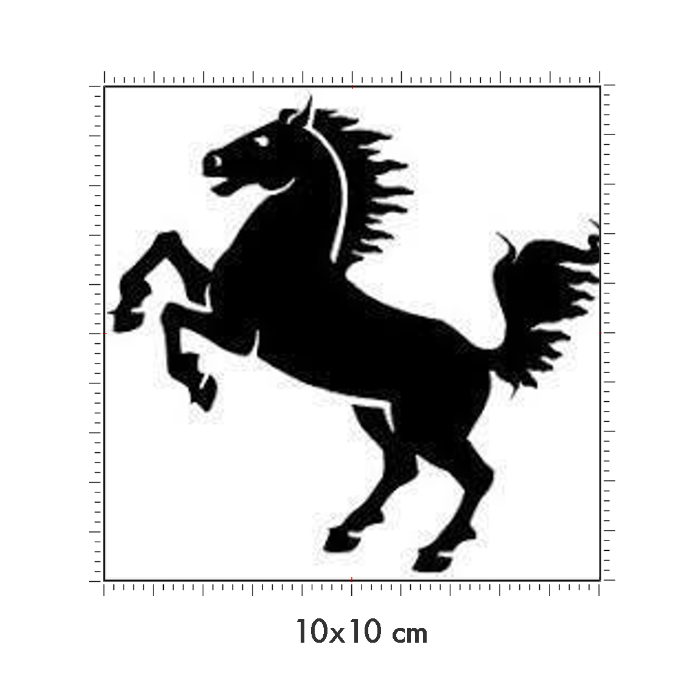10 x 10 cm