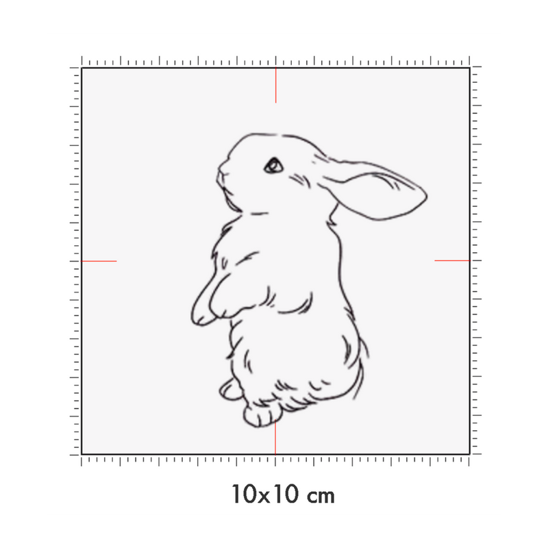 10 x 10 cm