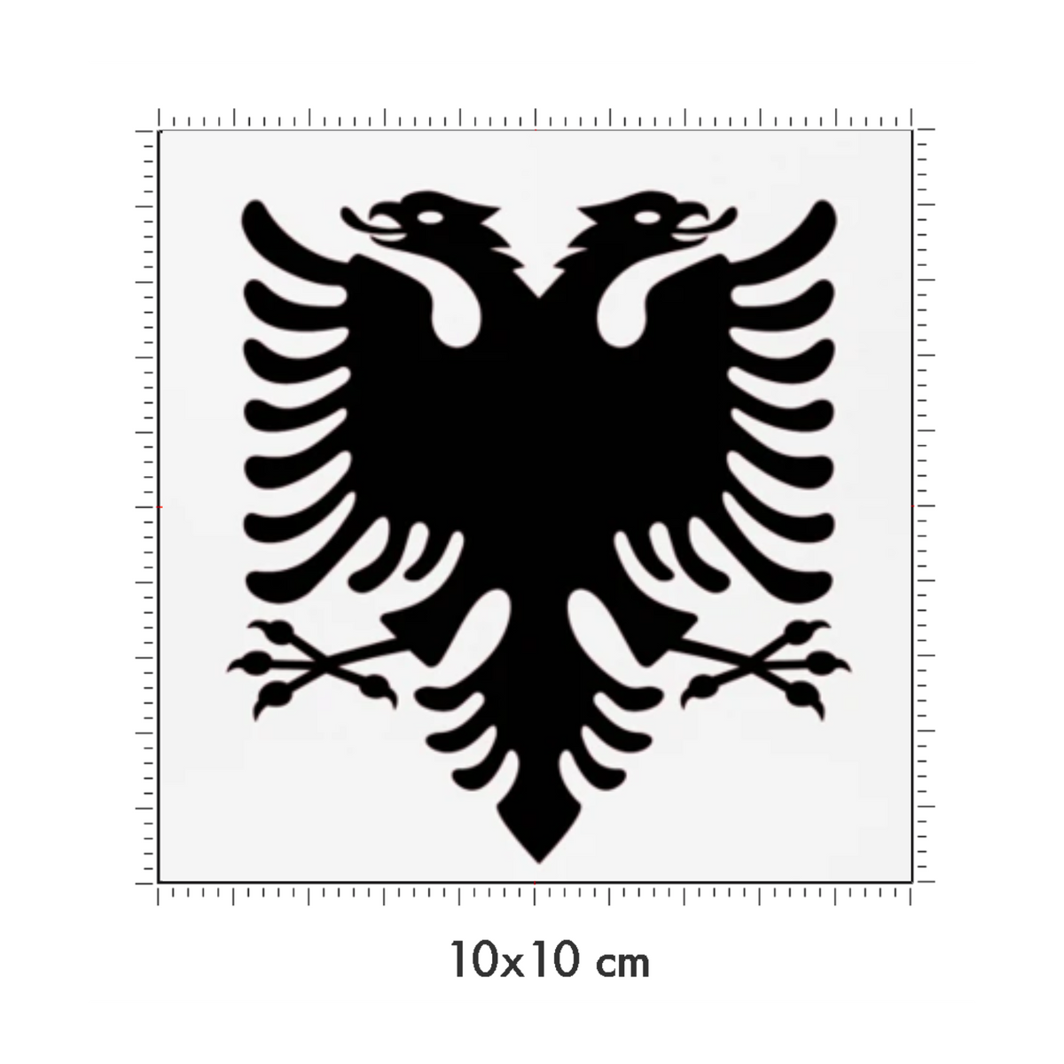 10 x 10 cm
