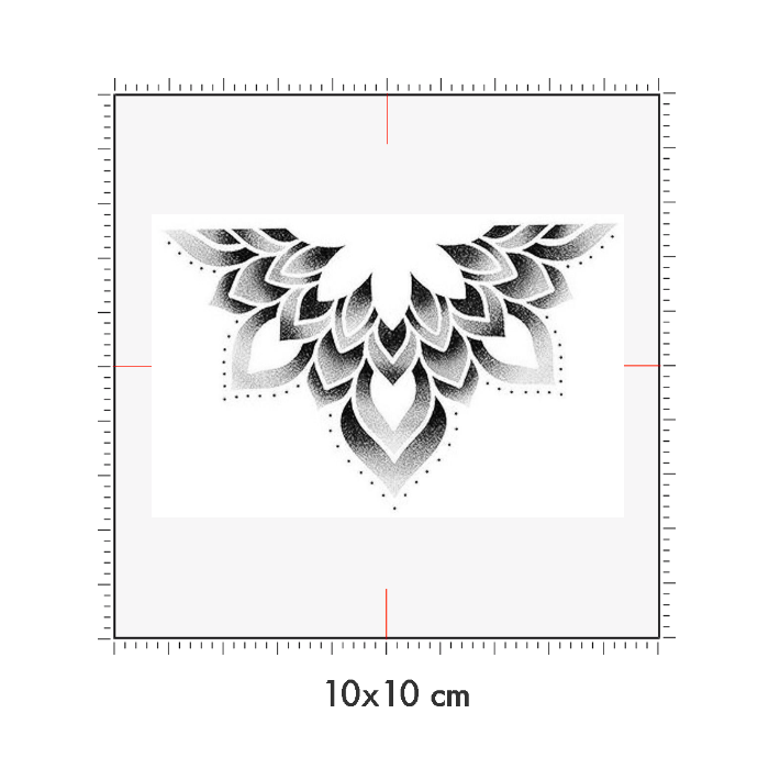 10 x 10 cm
