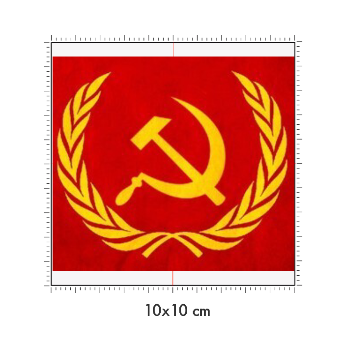 10 x 10 cm