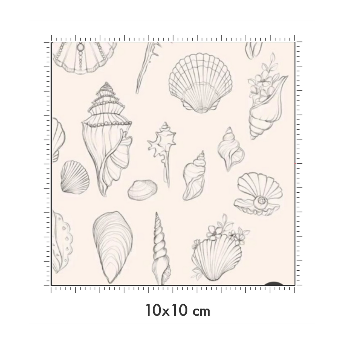 10 x 10 cm