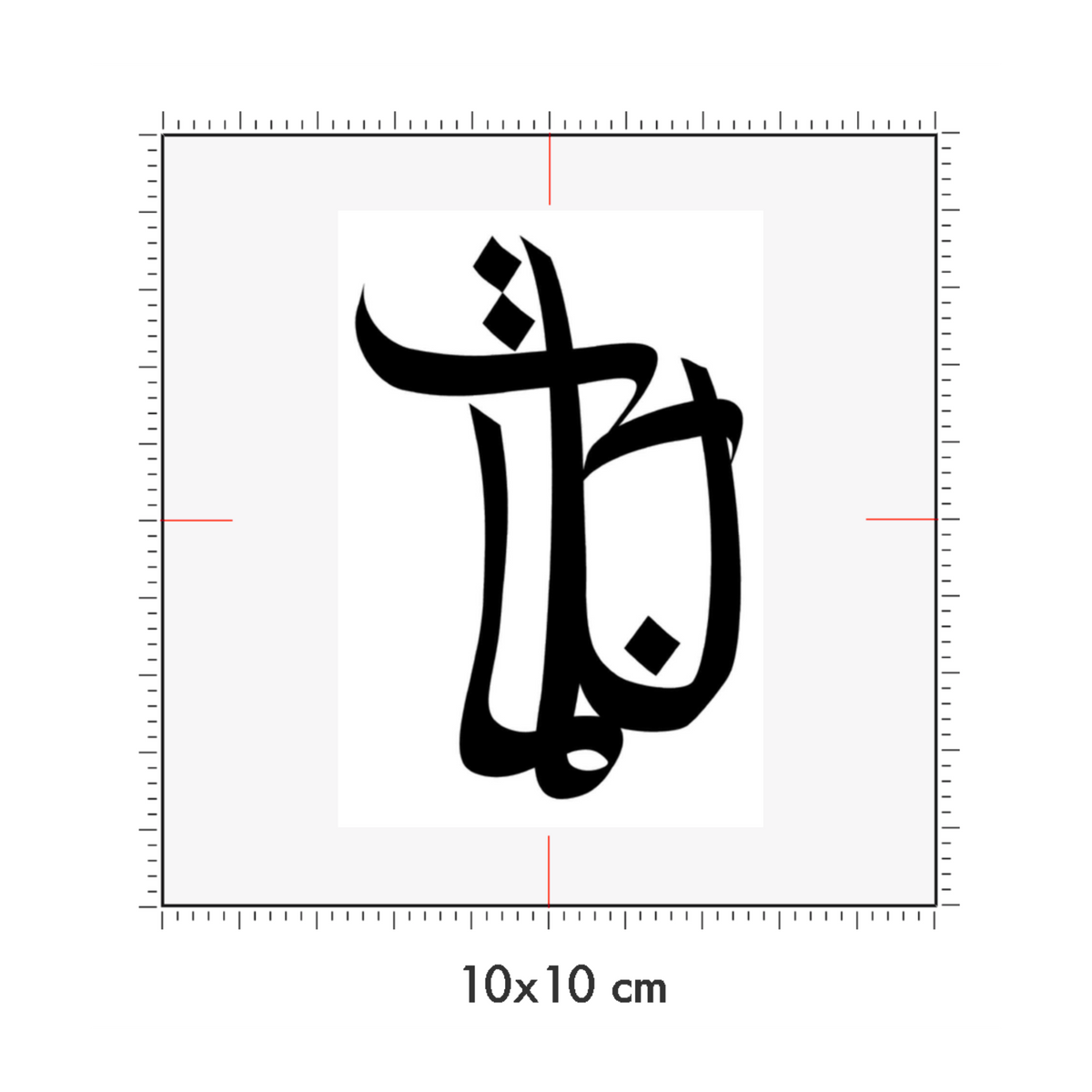 10 x 10 cm
