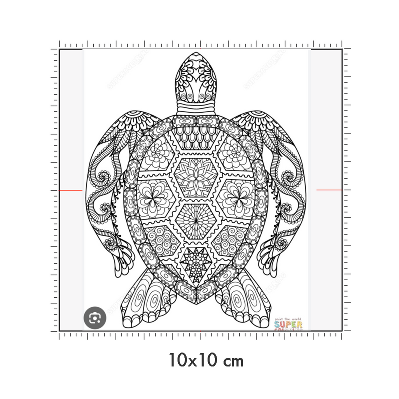 10 x 10 cm