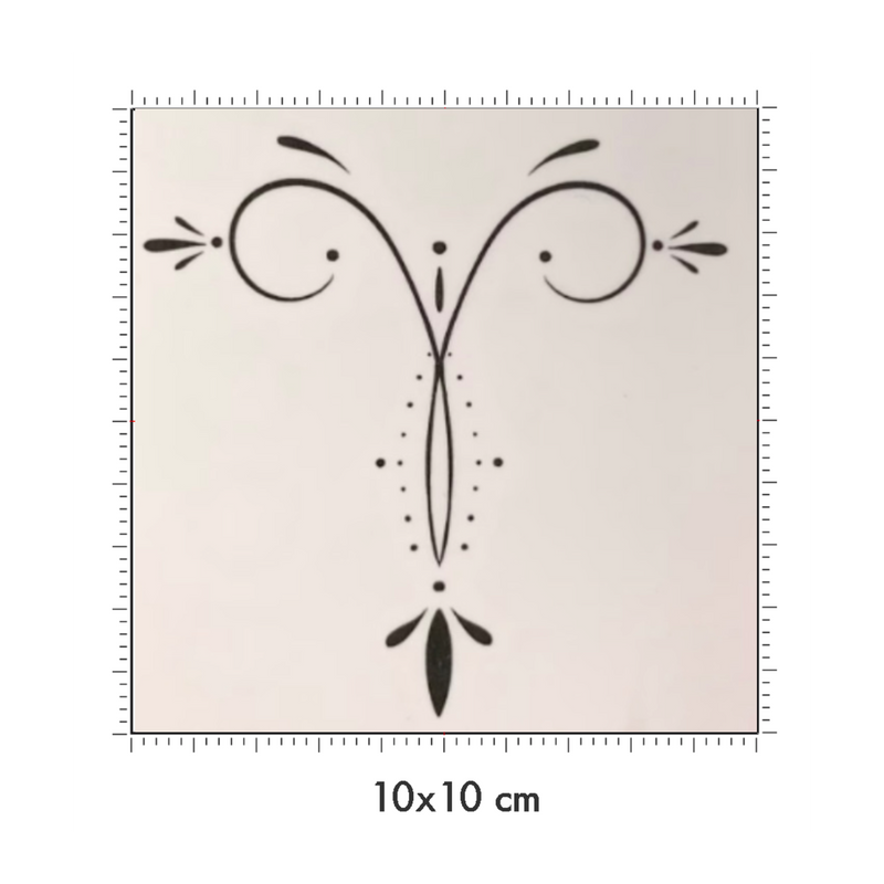 10 x 10 cm