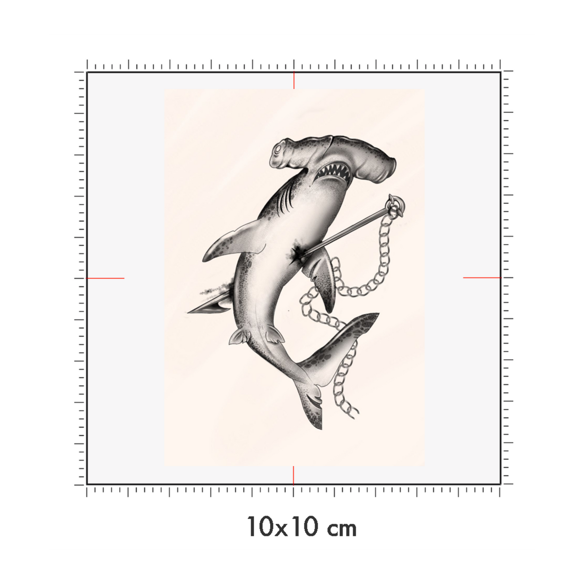 10 x 10 cm