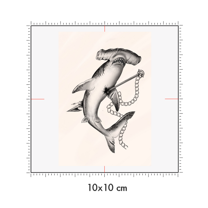 10 x 10 cm