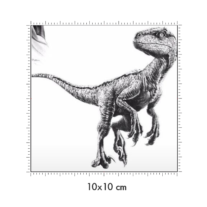 10 x 10 cm