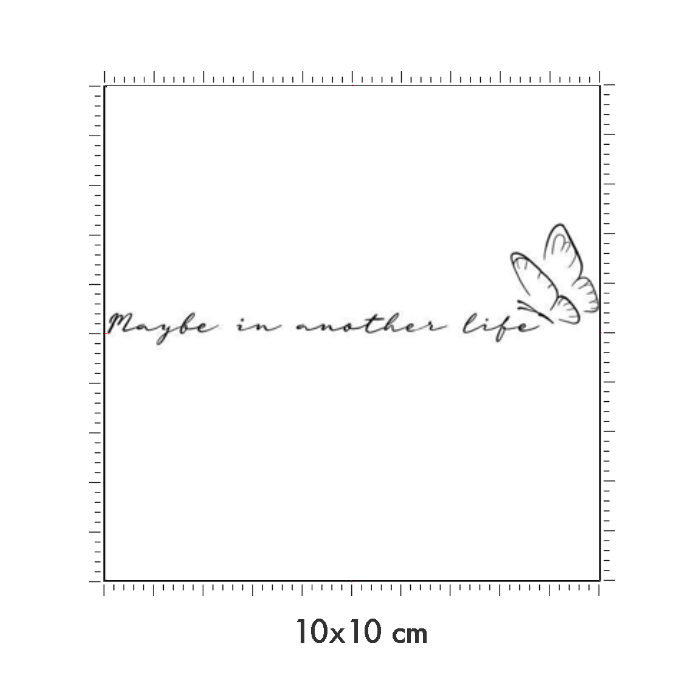 10 x 10 cm