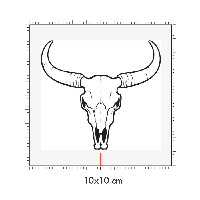 10 x 10 cm