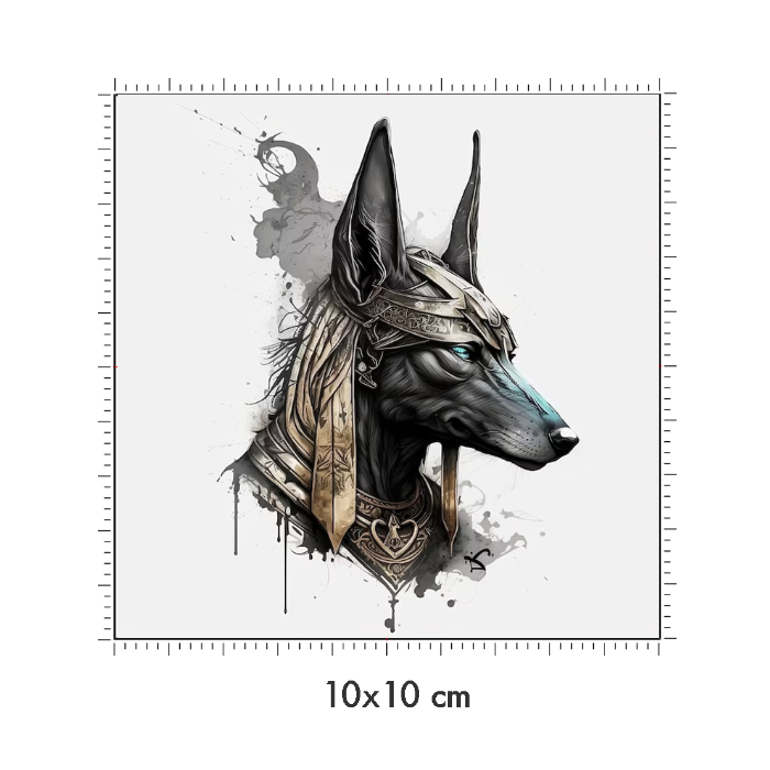 10 x 10 cm