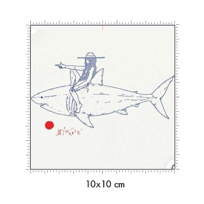 10 x 10 cm