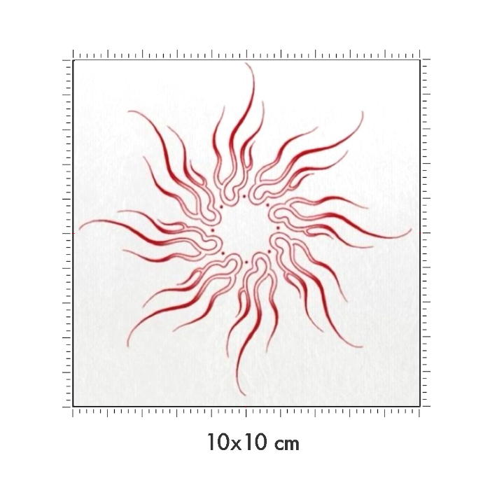 10 x 10 cm
