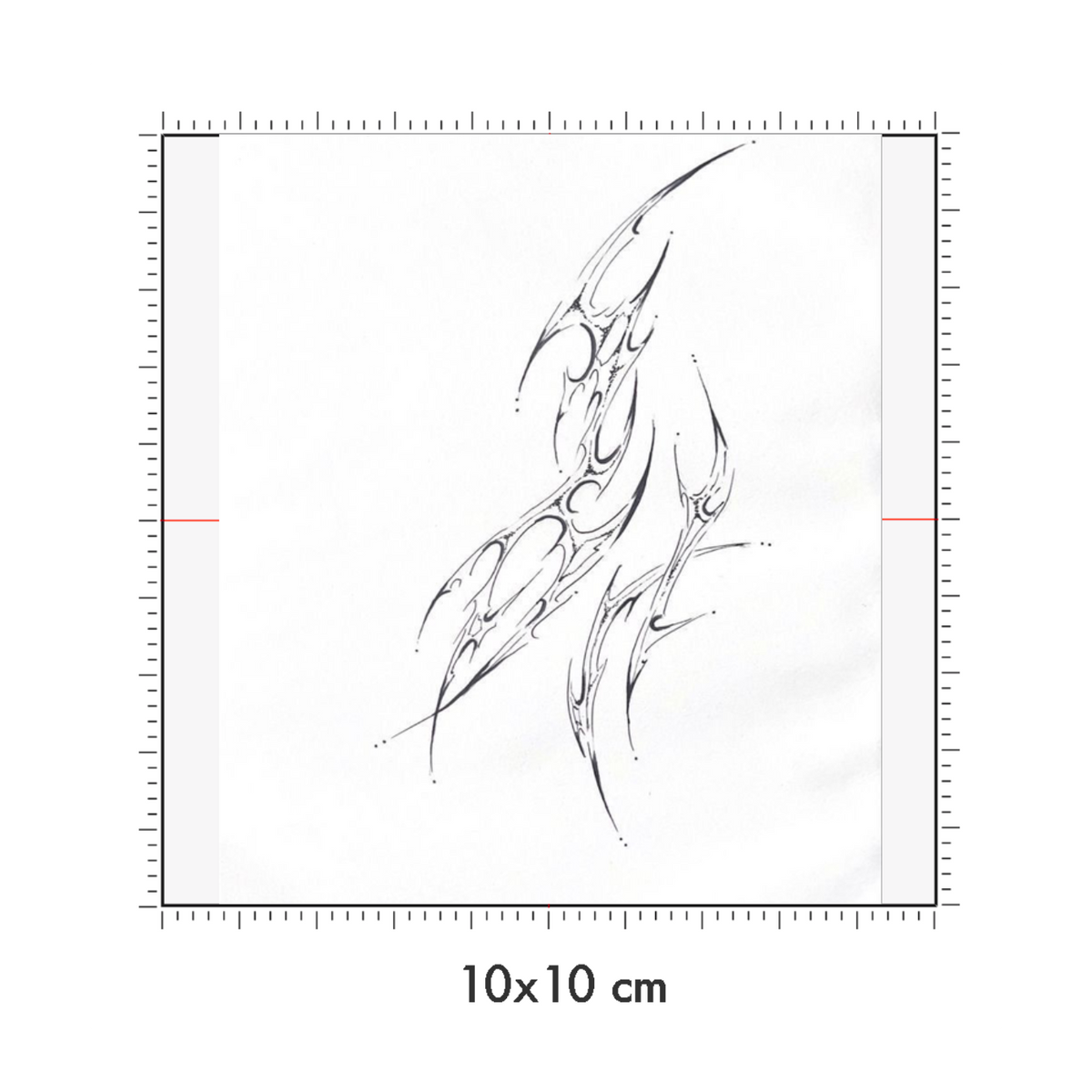 10 x 10 cm