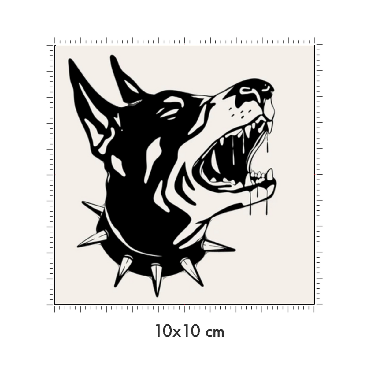 10 x 10 cm