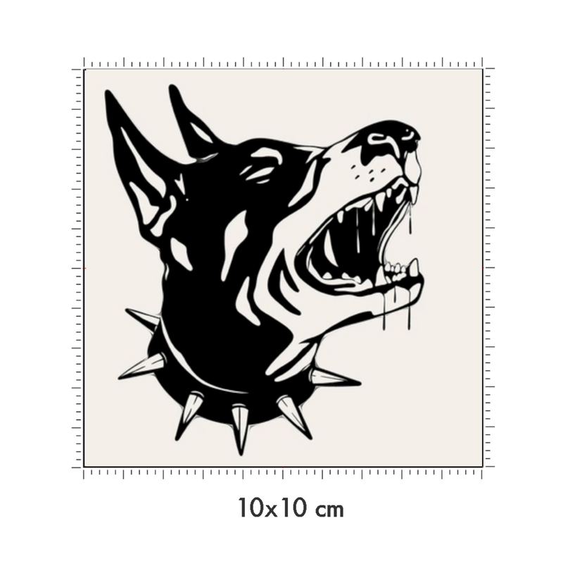 10 x 10 cm