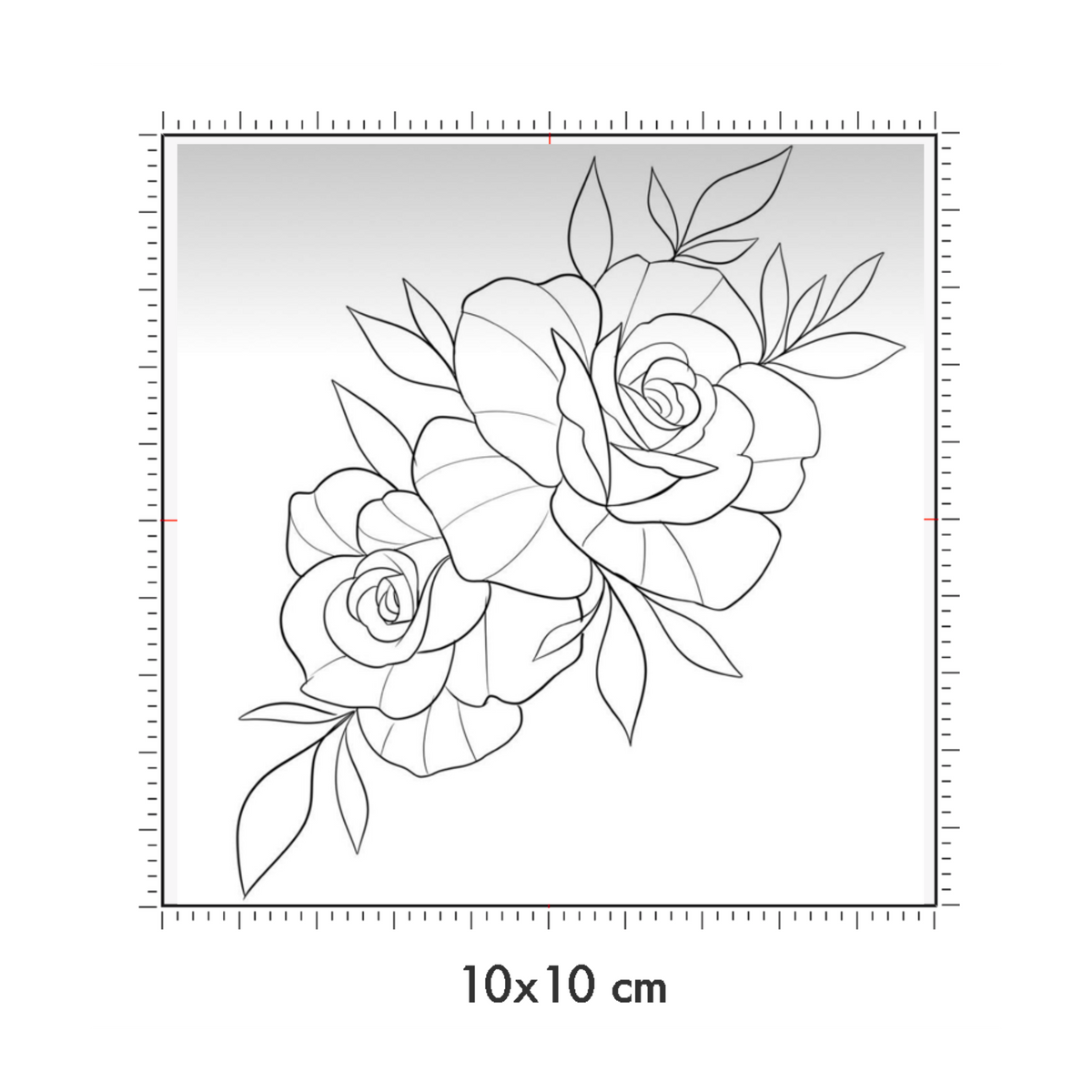 10 x 10 cm