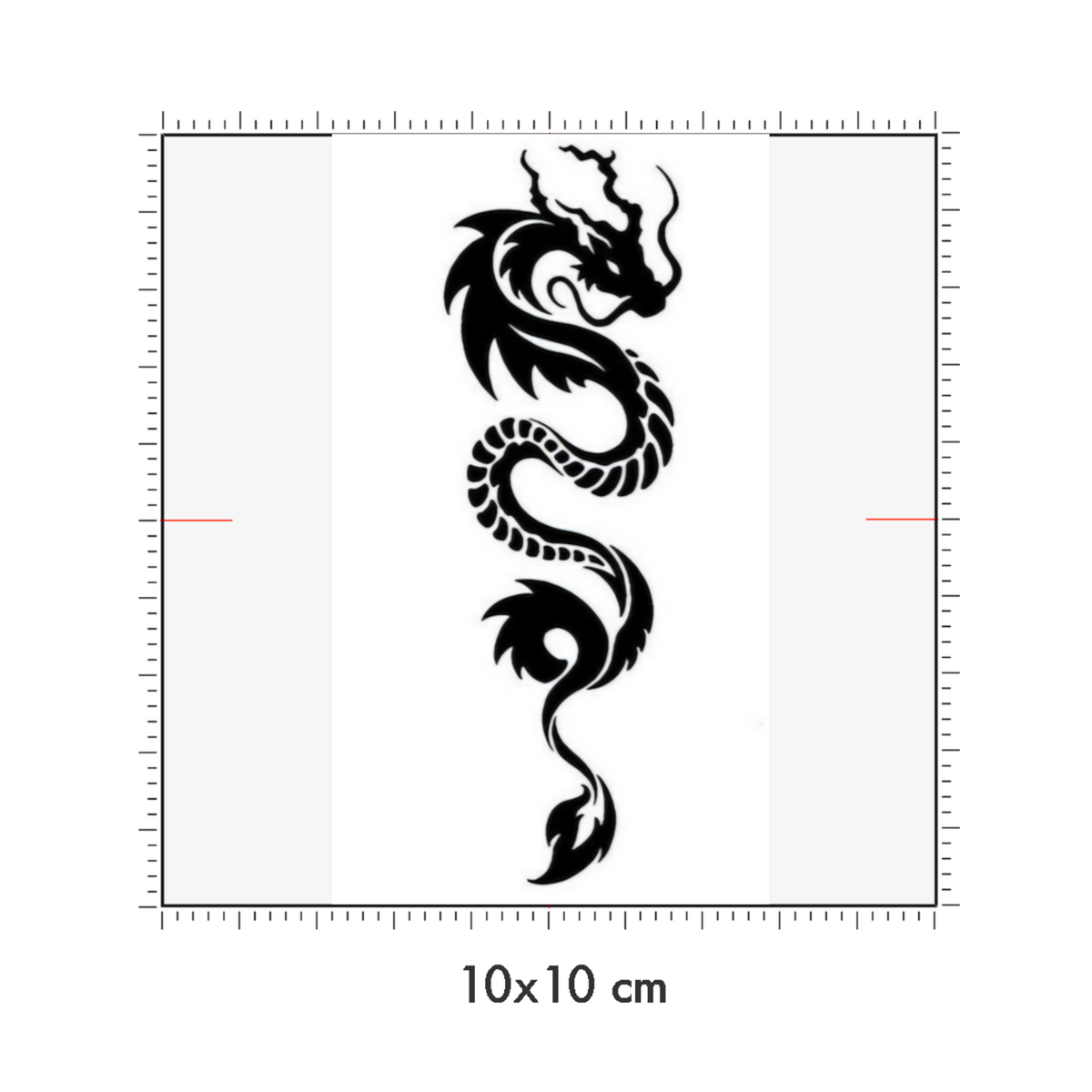 10 x 10 cm