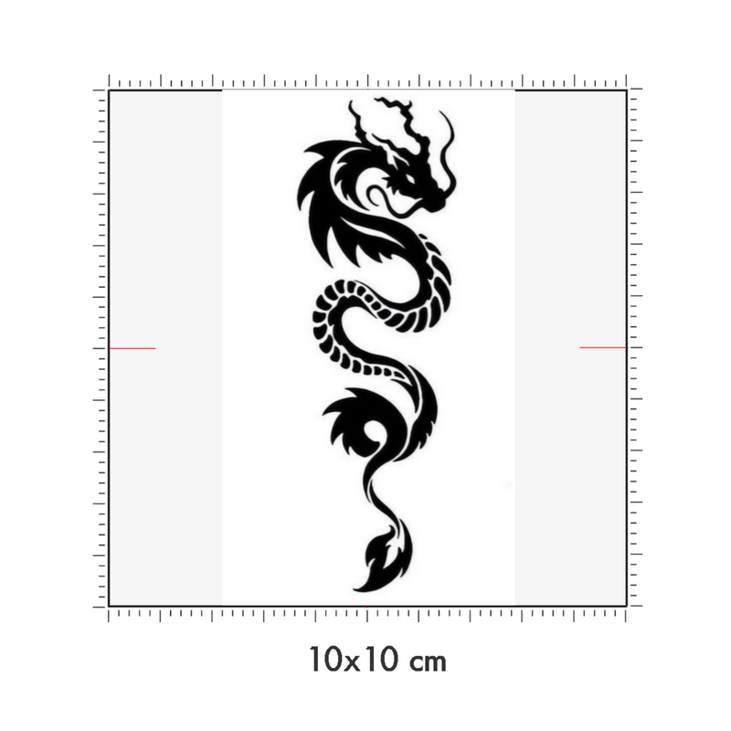 10 x 10 cm