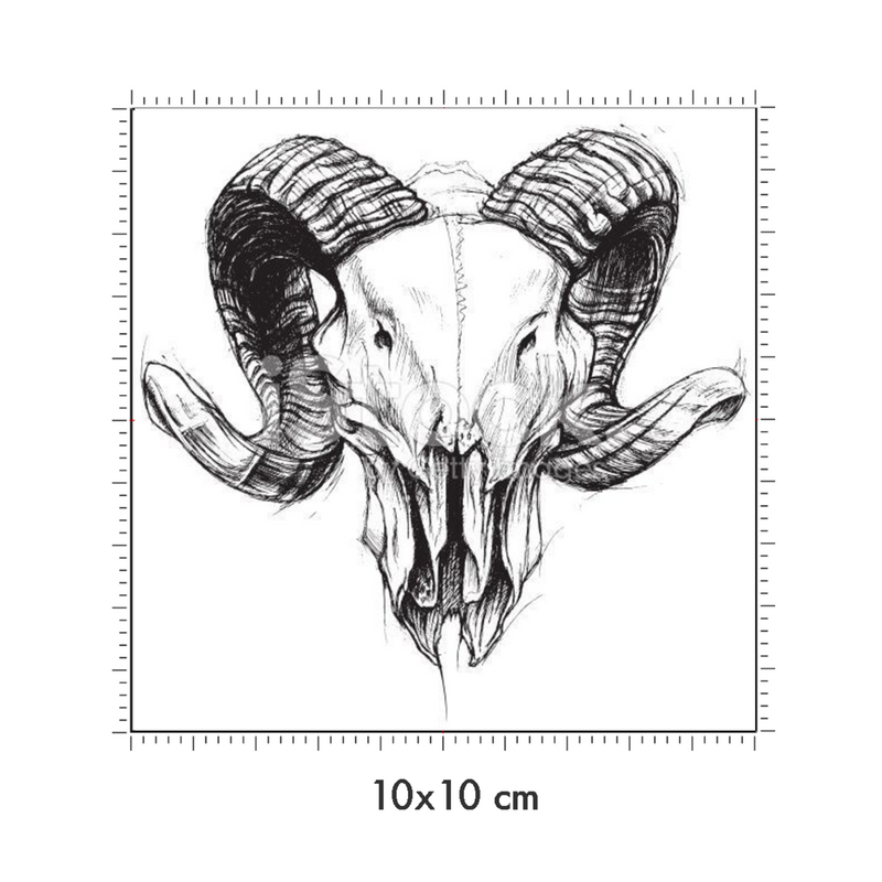 10 x 10 cm