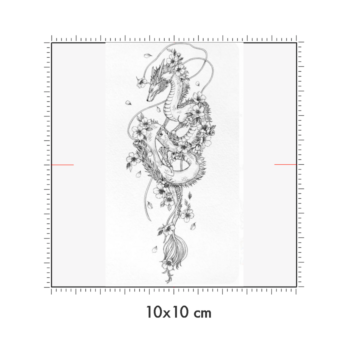 10 x 10 cm