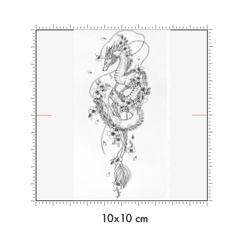 10 x 10 cm