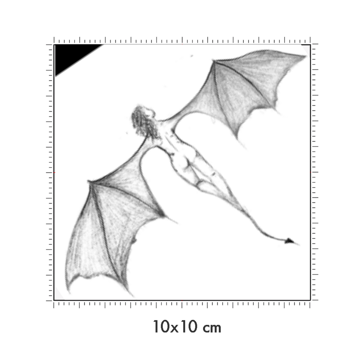 10 x 10 cm