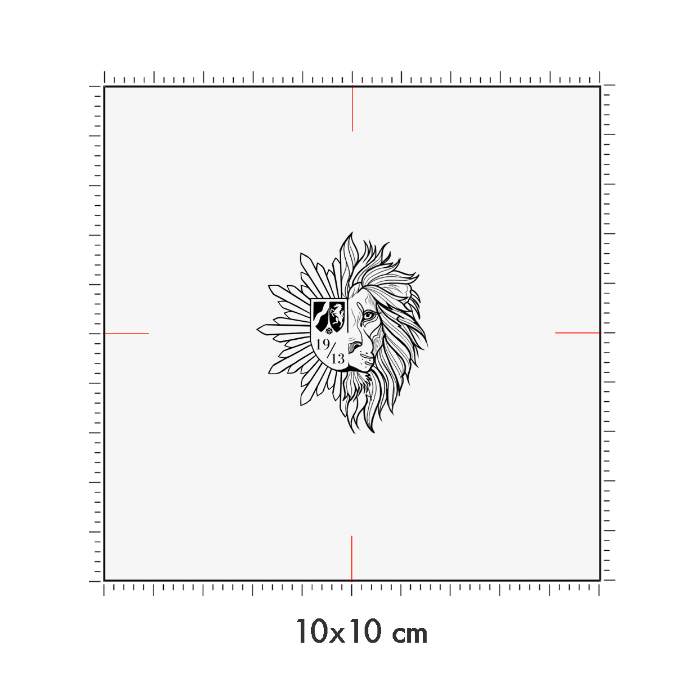 10 x 10 cm