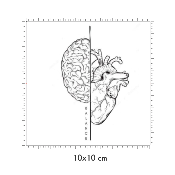 10 x 10 cm