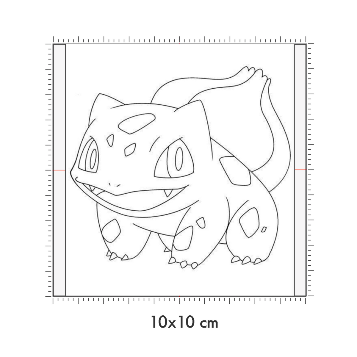 10 x 10 cm