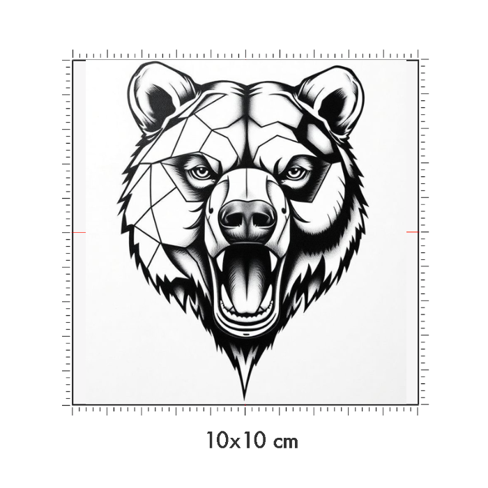 10 x 10 cm
