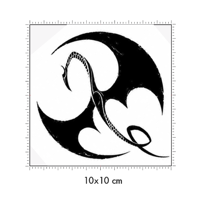 10 x 10 cm
