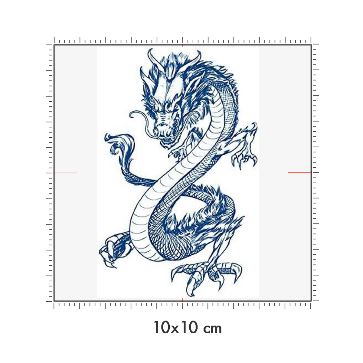 10 x 10 cm