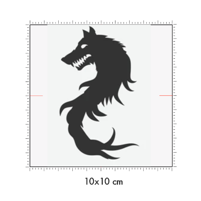 10 x 10 cm