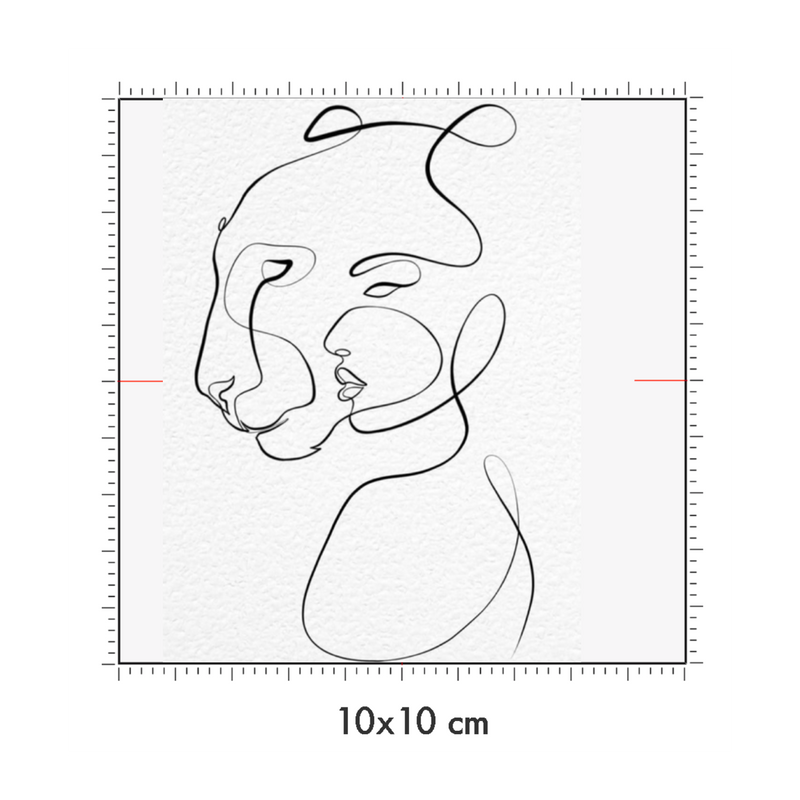 10 x 10 cm