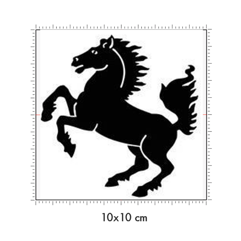 10 x 10 cm