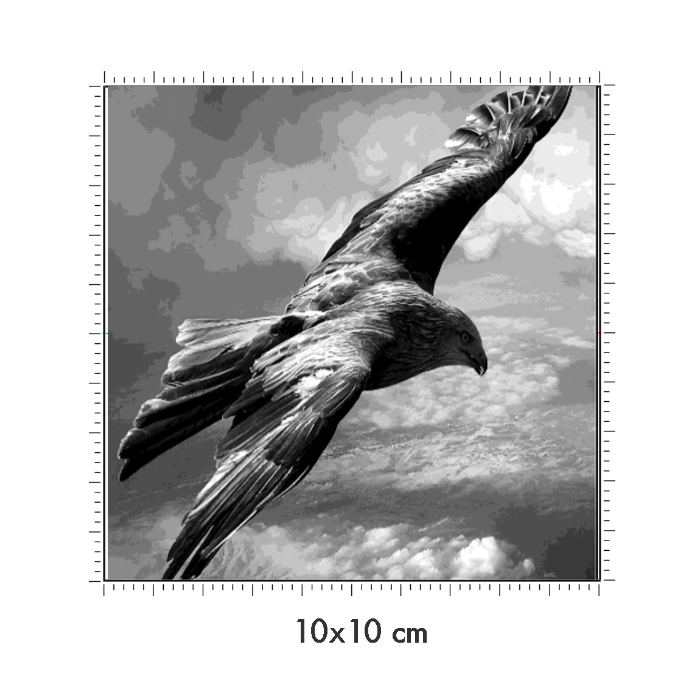 10 x 10 cm