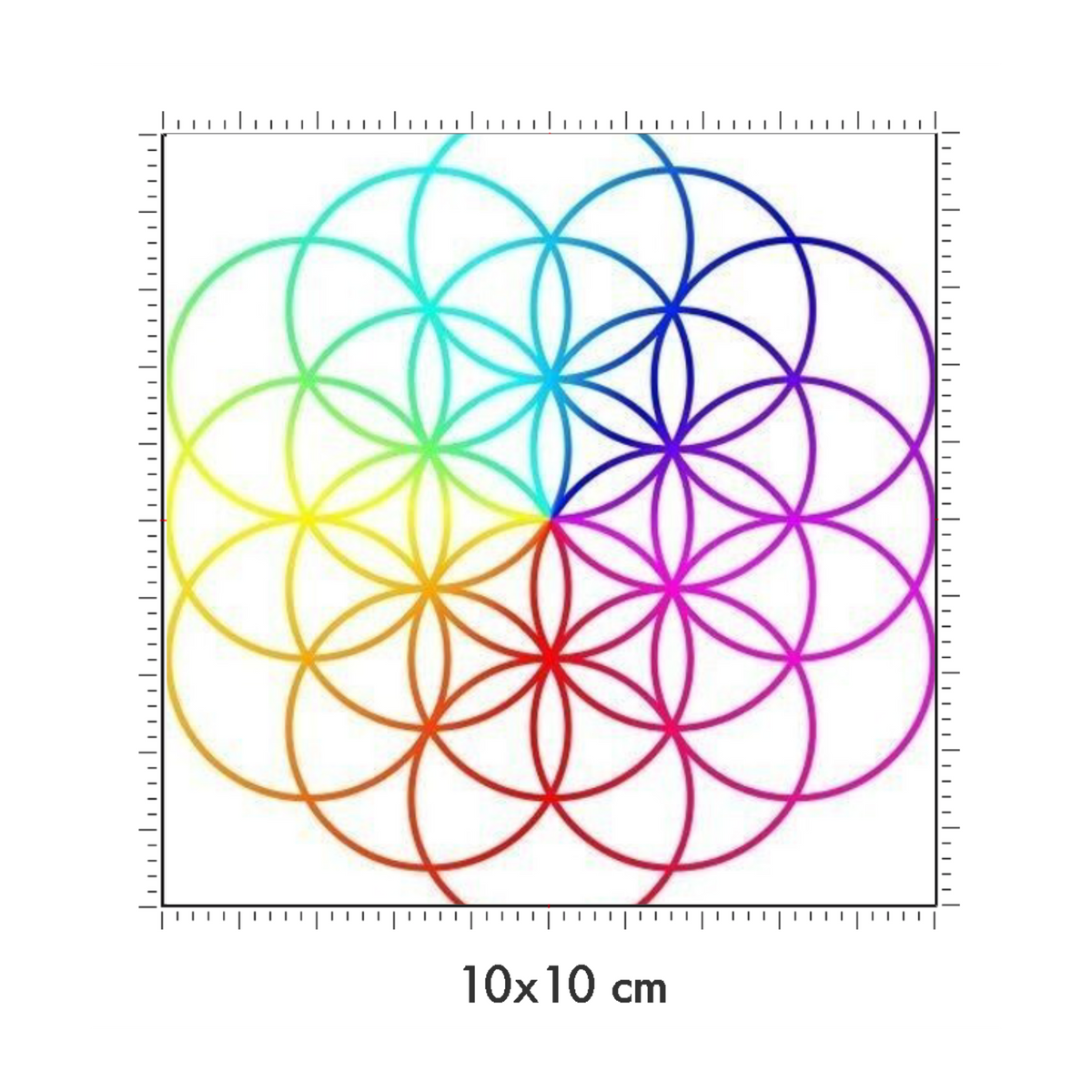 10 x 10 cm