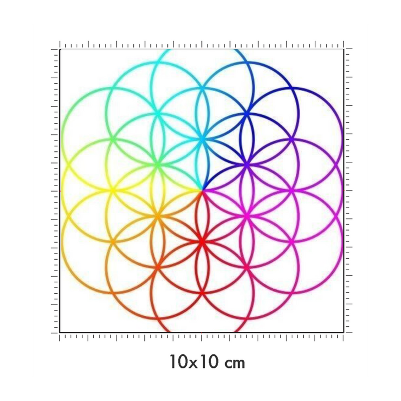 10 x 10 cm