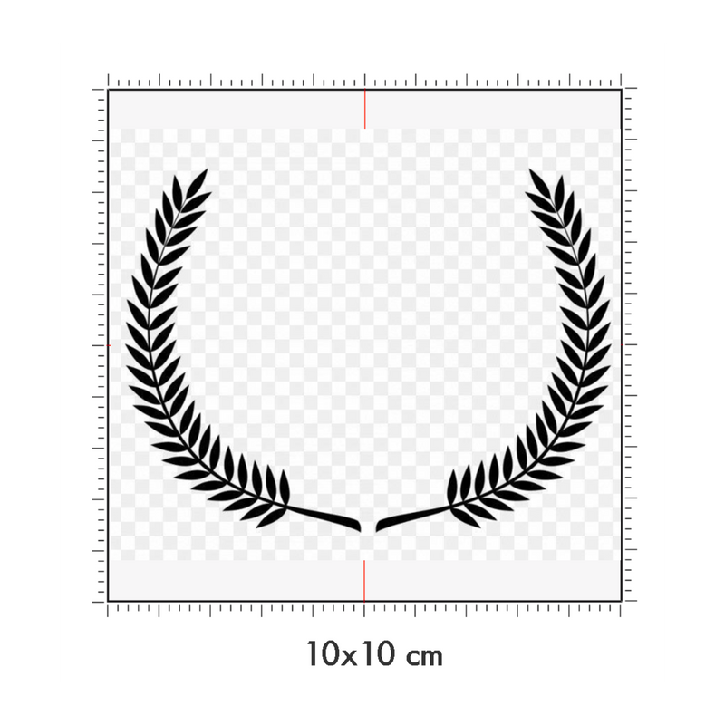 10 x 10 cm