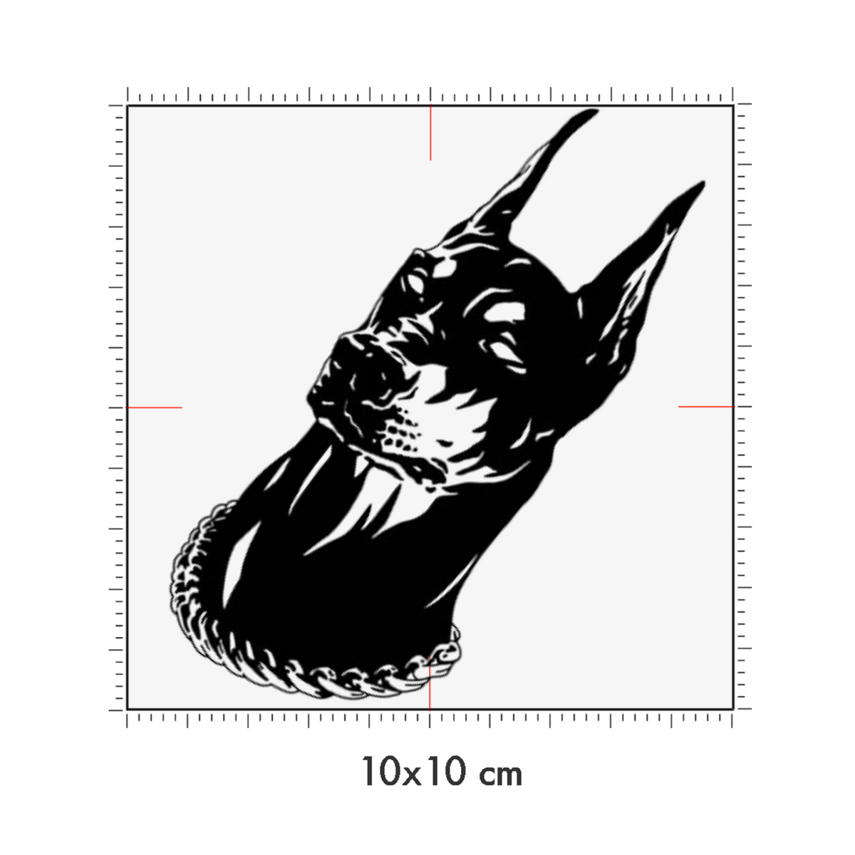 10 x 10 cm