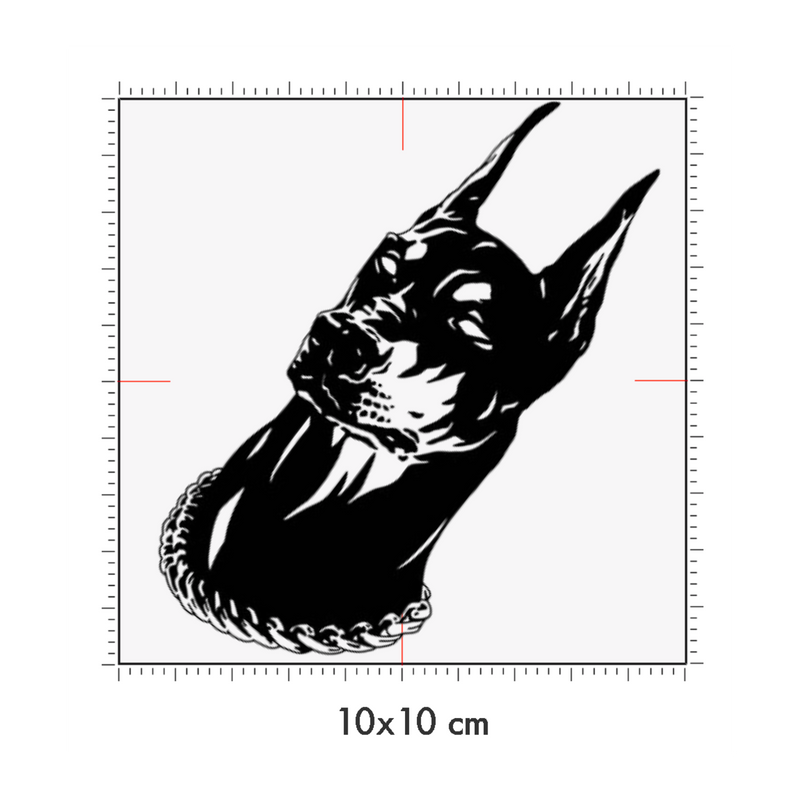 10 x 10 cm