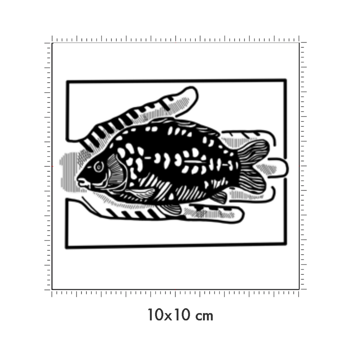 10 x 10 cm