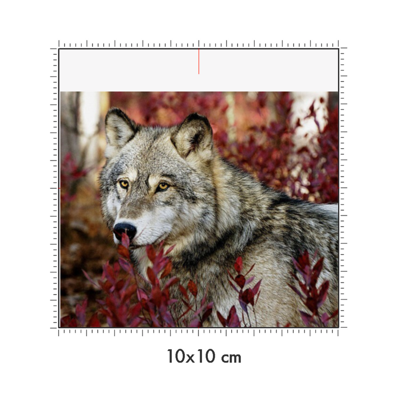 10 x 10 cm