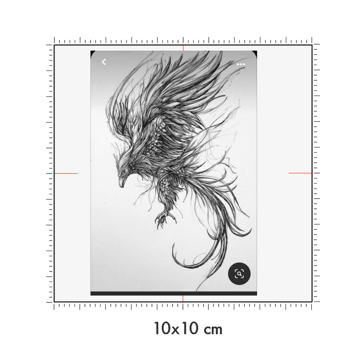 10 x 10 cm