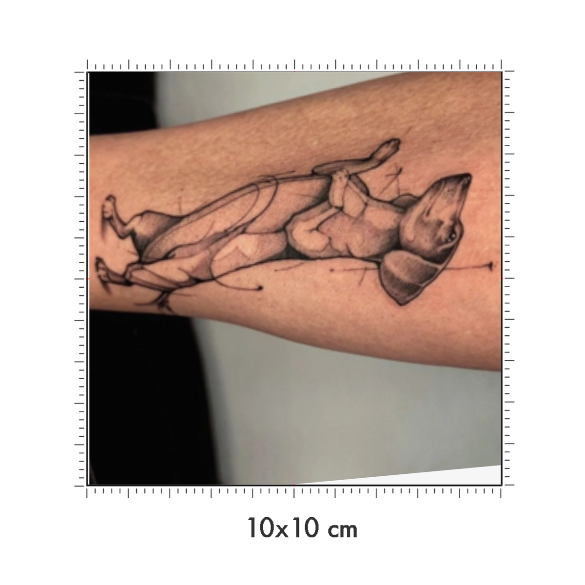 10 x 10 cm