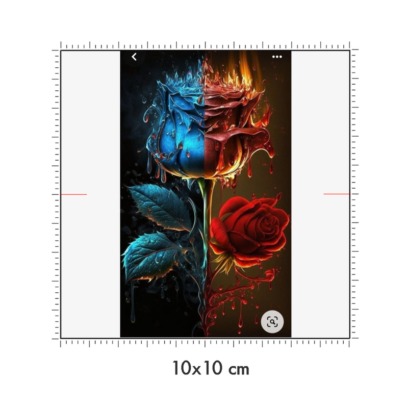 10 x 10 cm