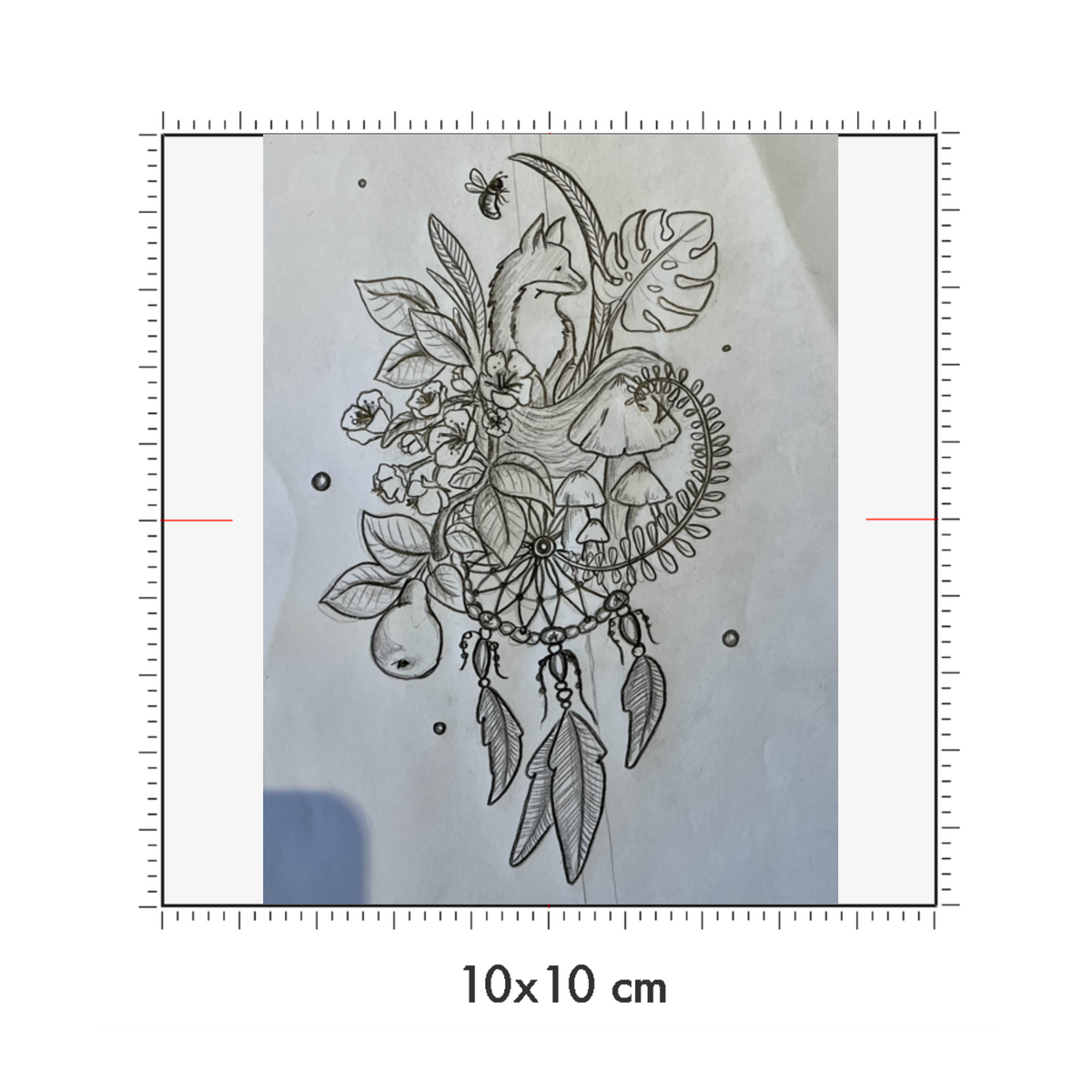 10 x 10 cm