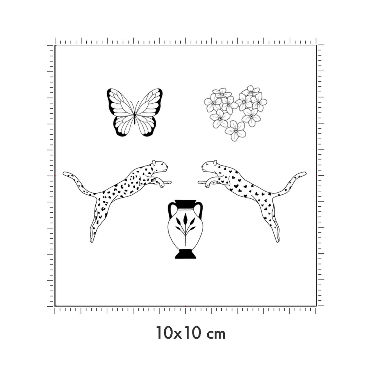 10 x 10 cm