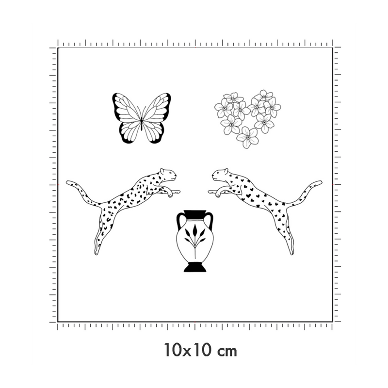 10 x 10 cm